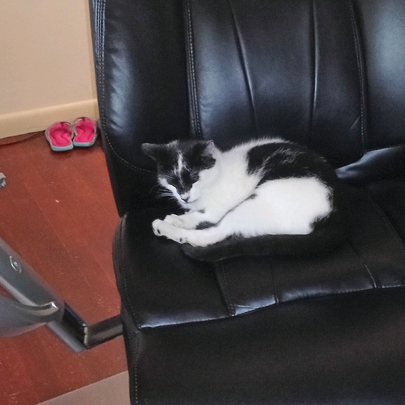 Meet your Posher, Concepcion - Picture 1 of 1